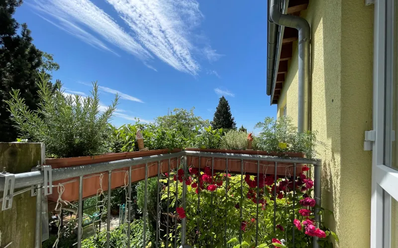 Apartment Bergisch Gladbach BG729 Bergisch Gladbach, 39qm Wohnung, 1.OG img11 Apartment Bergisch Gladbach BG729 Bergisch Gladbach, 39qm Wohnung, 1.OG img11
