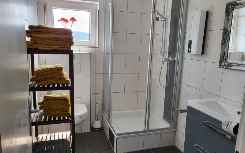 Apartment Koblenz KO1291 Koblenz, 50qm Luxusapartment, Parkplatz, Klima img8 Apartment Koblenz KO1291 Koblenz, 50qm Luxusapartment, Parkplatz, Klima img8