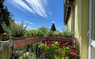 Apartment Bergisch Gladbach BG1295 Bergisch Gladbach, 39qm Wohnung, 1.OG img11